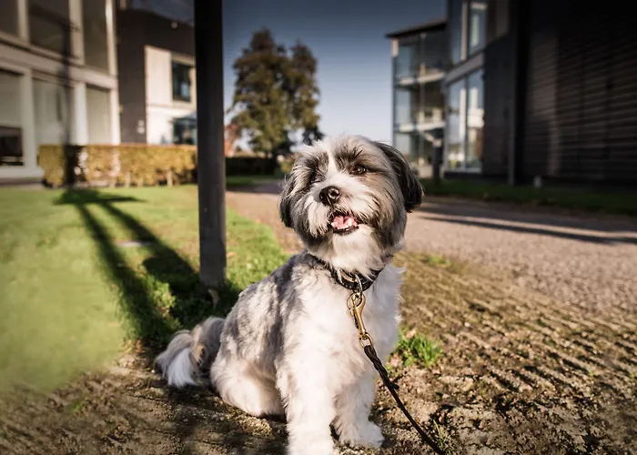 Отель Kolding Hotel Apartments Колдинг