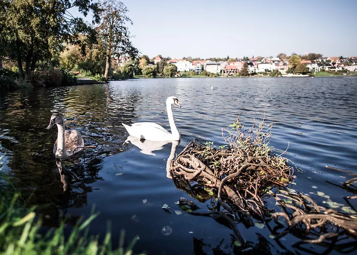 Kolding Hotel Apartments Отель Колдинг